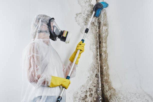 Professional Water damage restoration in Cerro Gordo, IL